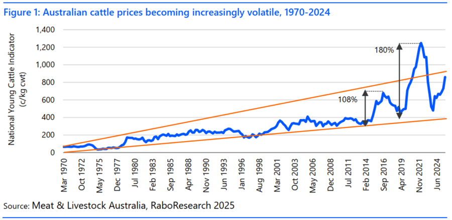 RaboResearch and Meet & Livestock Australia report - Australian cattle prices 1970-2024.