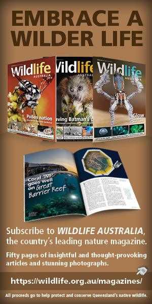 Subscribe to Wildlife Australia magazine https://wildlife-australia.org.au/subscribe Subscribe to Wildlife Australia magazine https://wildlife-australia.org.au/subscribe
