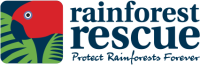 Rainforest Rescue Supporter Webinar